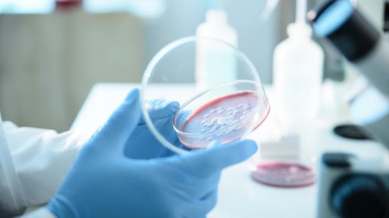 Ce este Serratia marcescens, bacteria care ar fi provocat moartea a şase copii la spitalul „Sfânta Maria” din Iaşi